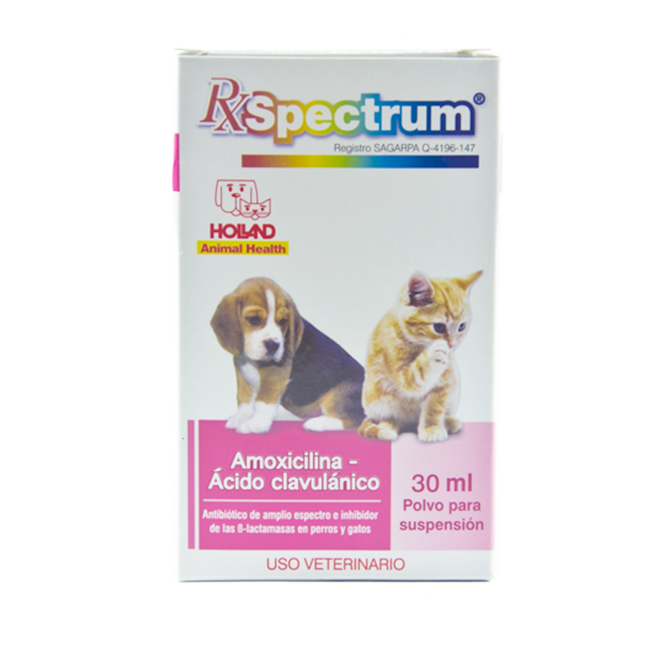 Spectrum Amoxicilina y Ácido Clavulánico 30 ml - Holland Spectrum Amoxicilina y Ácido Clavulánico 30 ml - Holland